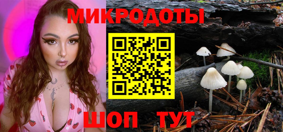 Гусев  Галлюциногенные грибы Psilocybine cubensis  Вход с VPN  Псилоцибиновые грибы прущие грибы 