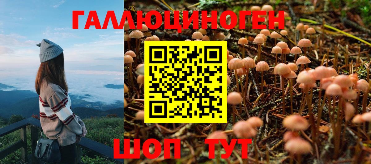 Псилоцибиновые грибы GOLDEN TEACHER Гусев